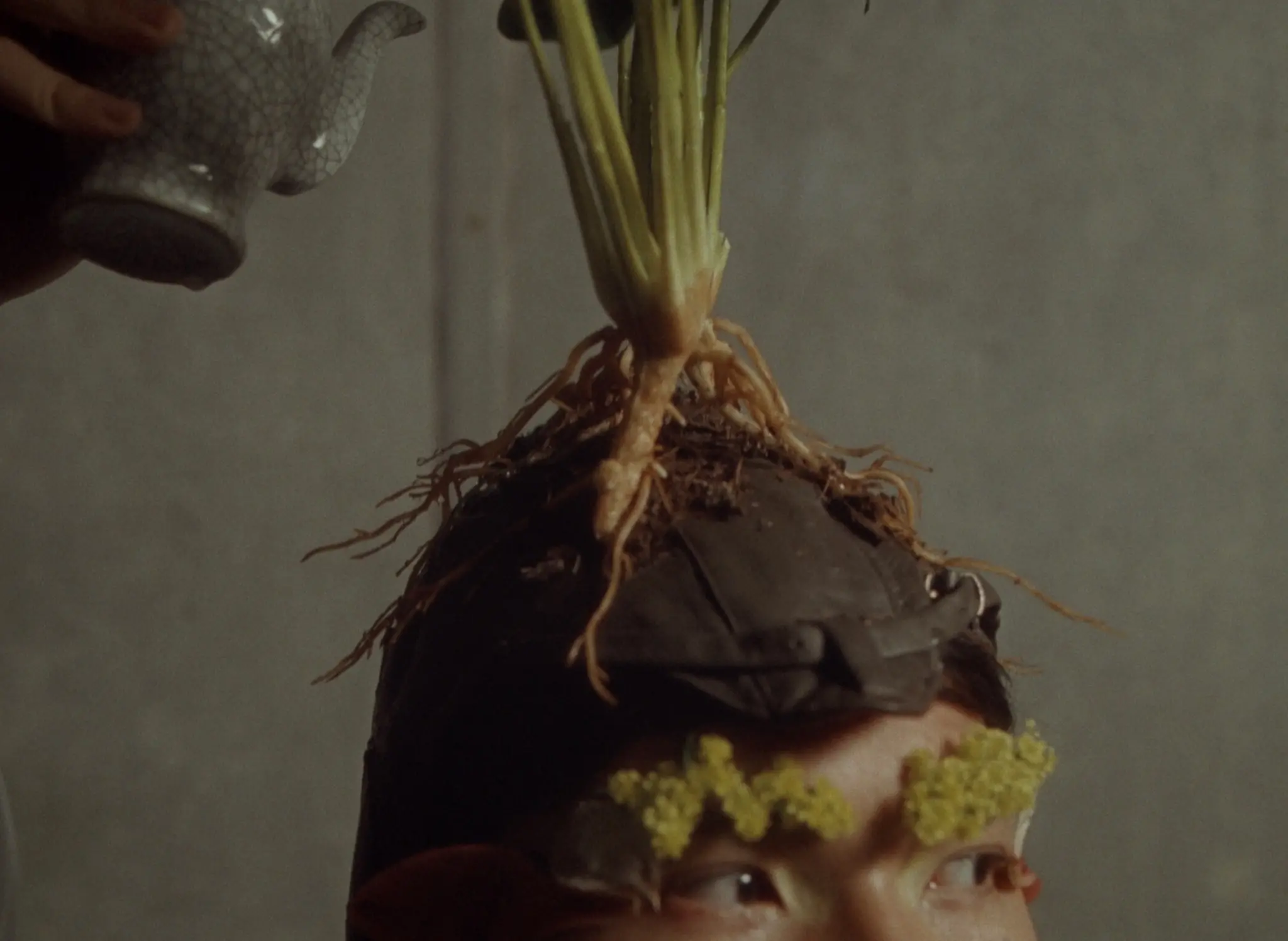 The Boy, Nature still 2
