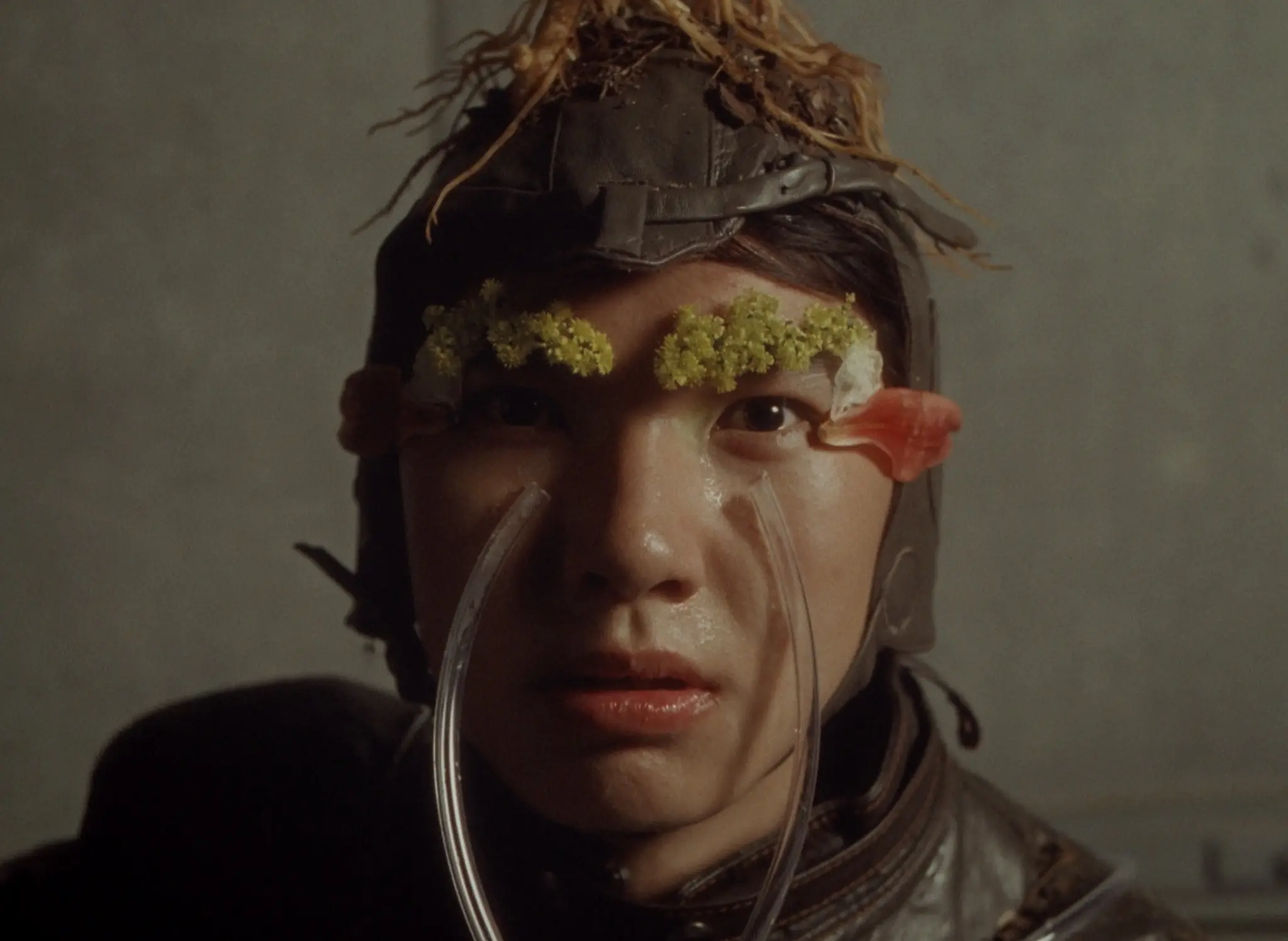 The Boy, Nature still 3
