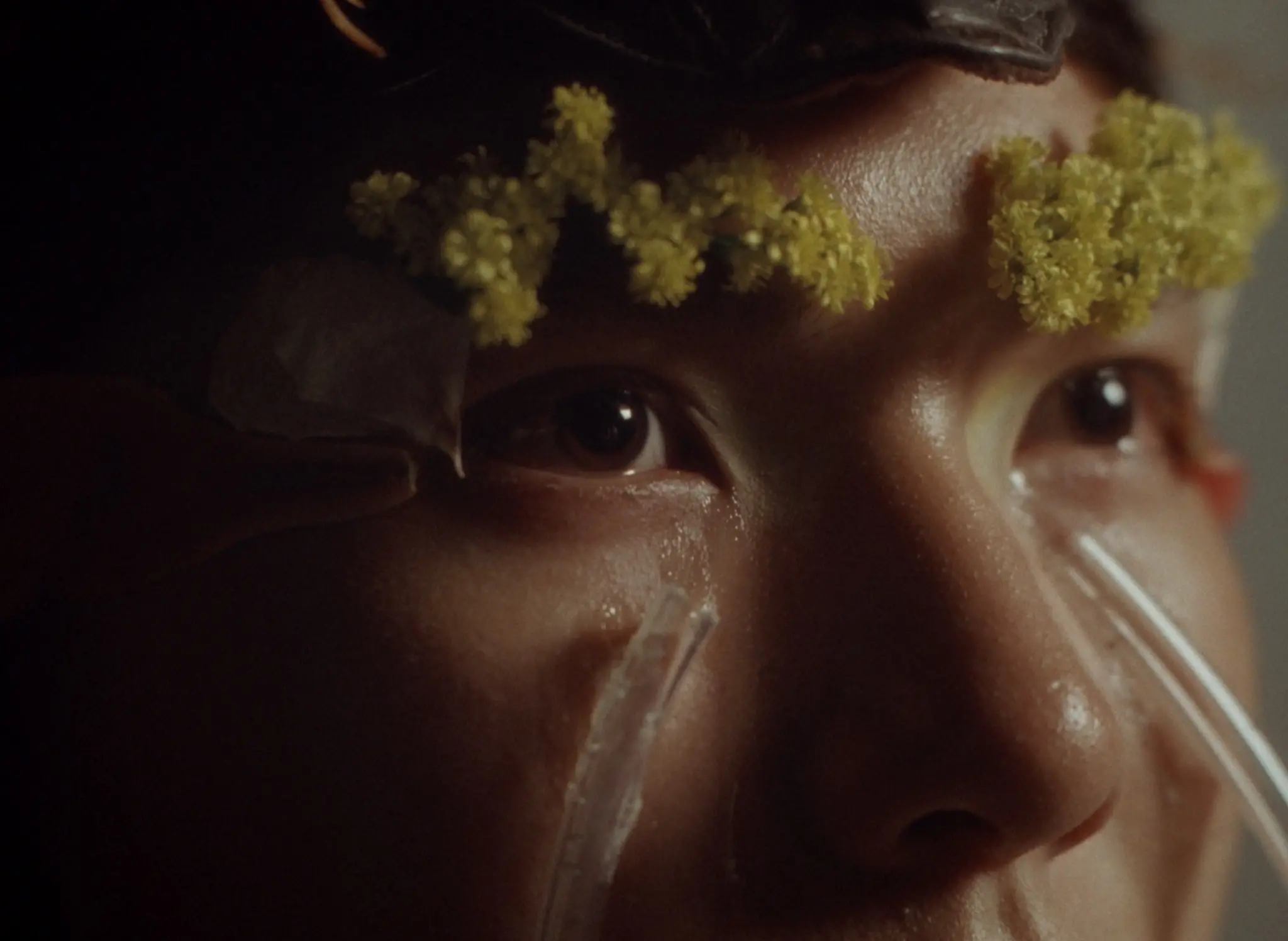 The Boy, Nature still 4
