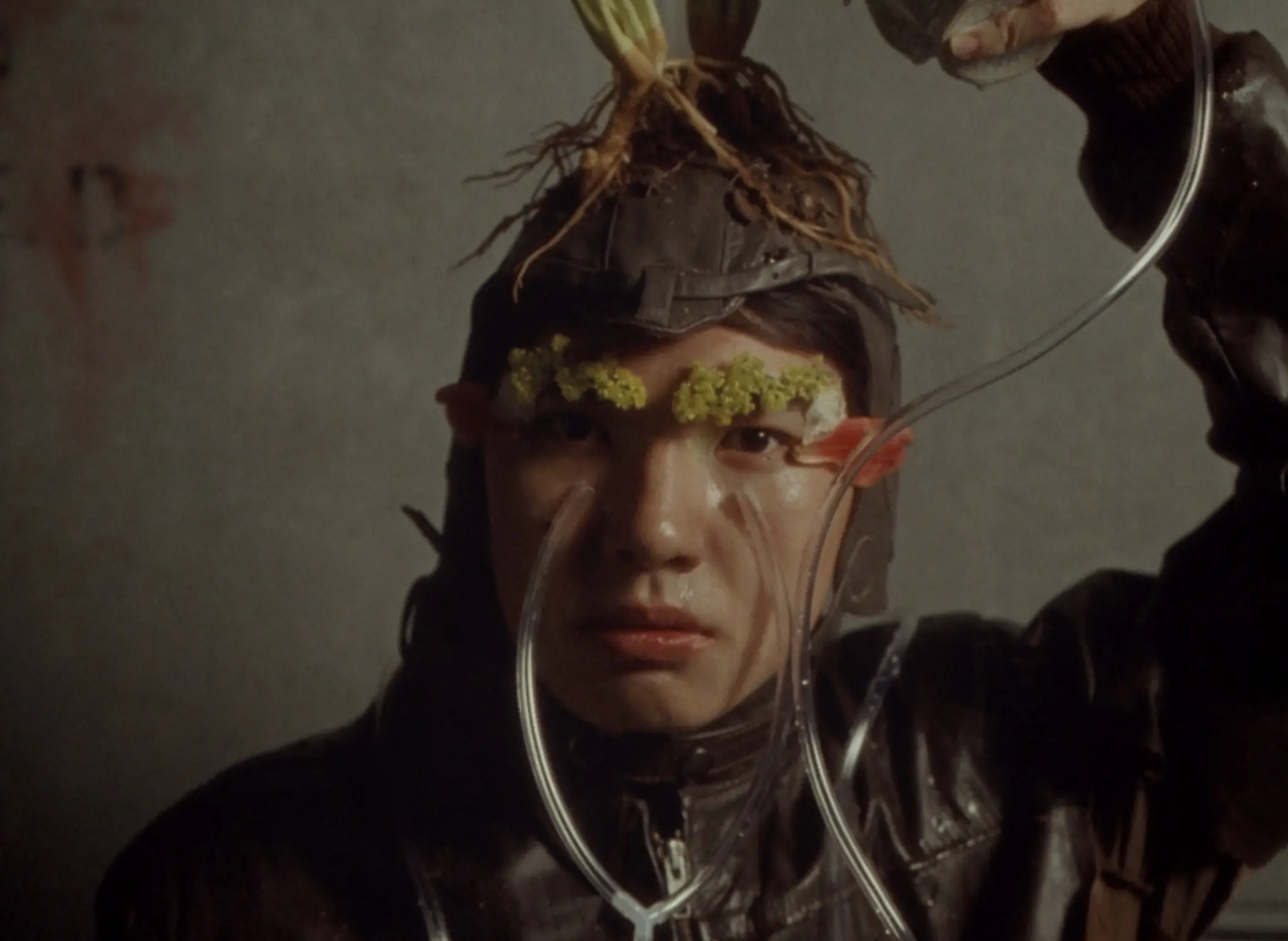 The Boy, Nature still 7