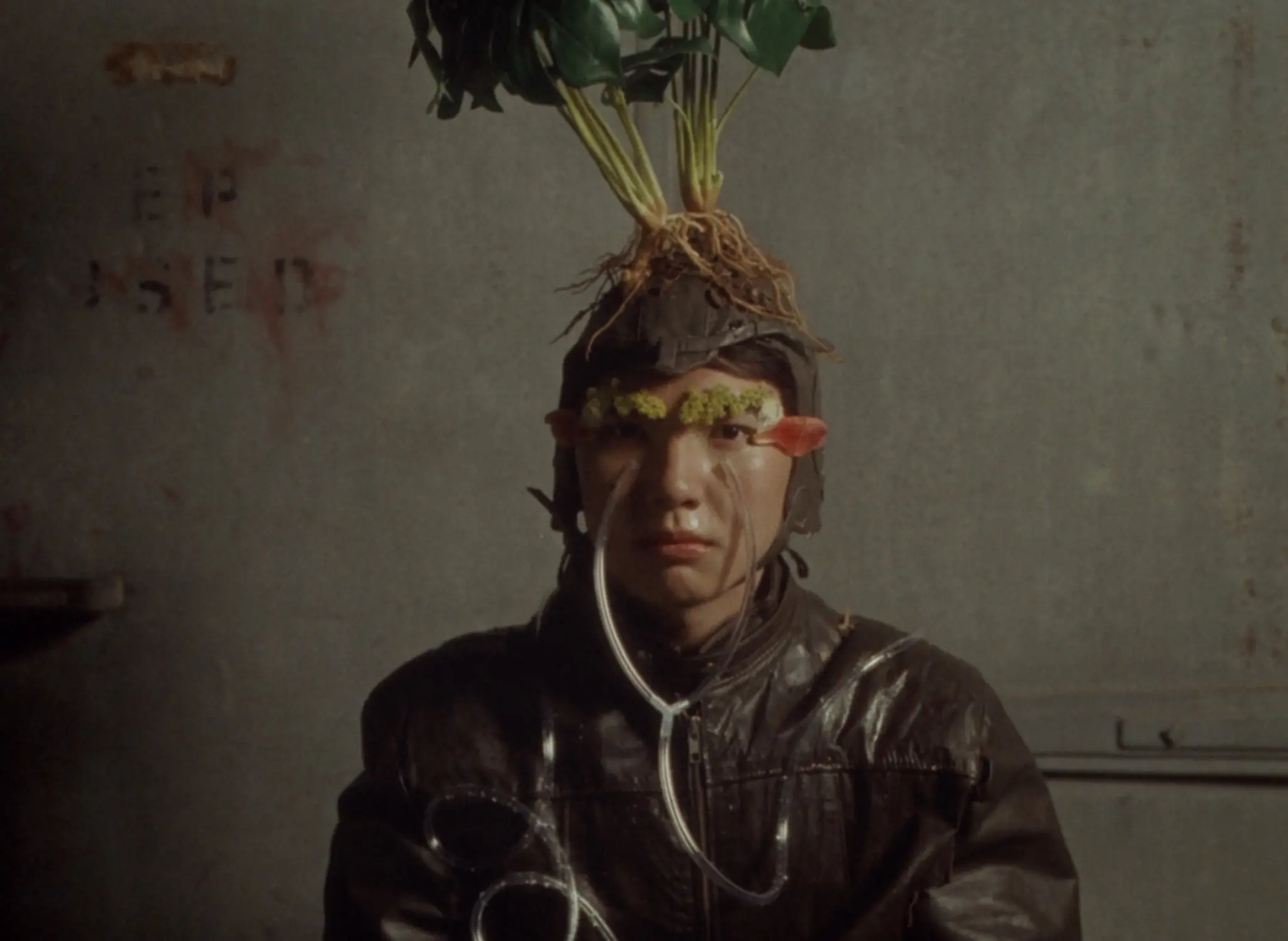 The Boy, Nature still 8
