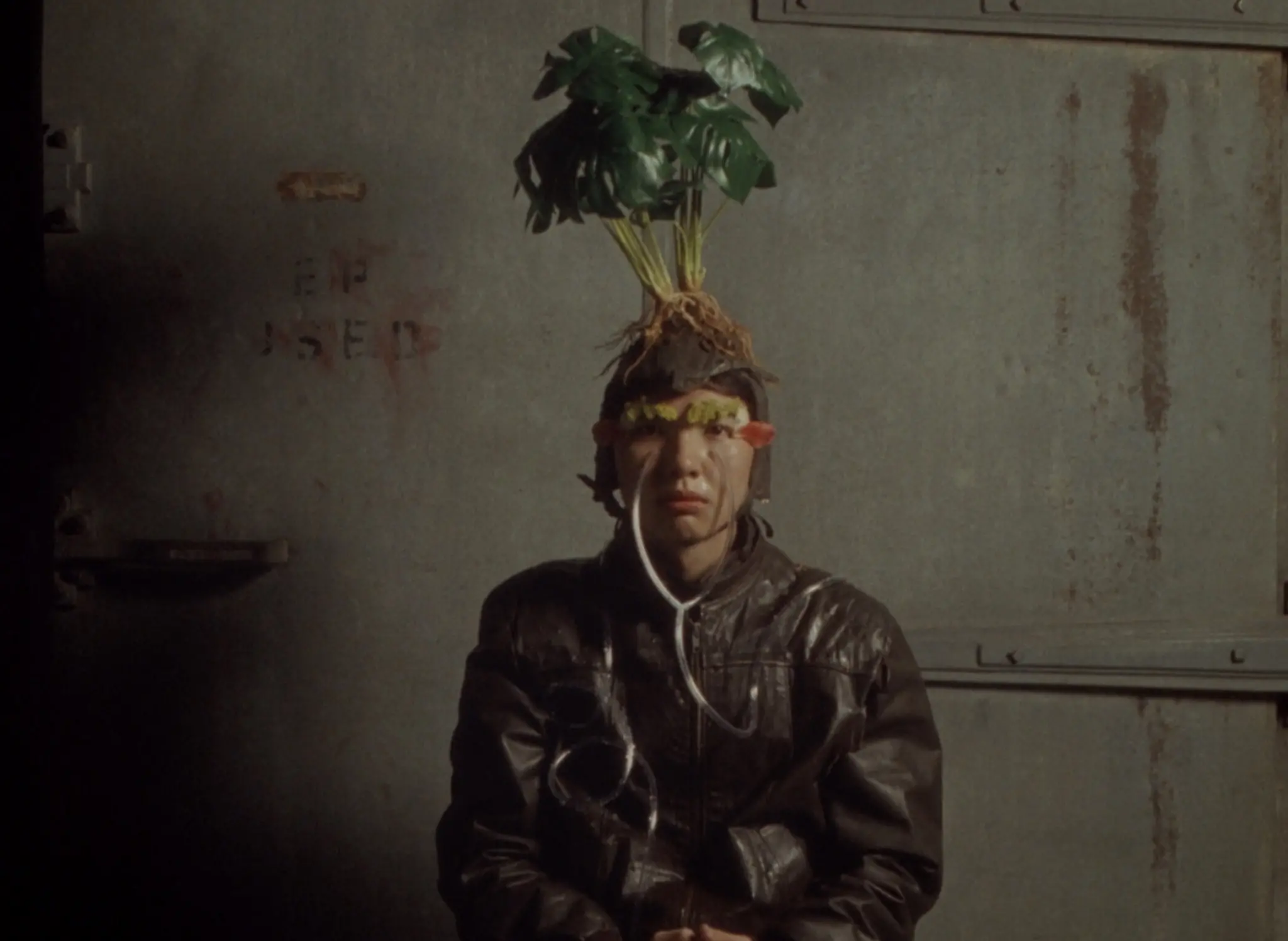 The Boy, Nature still 10