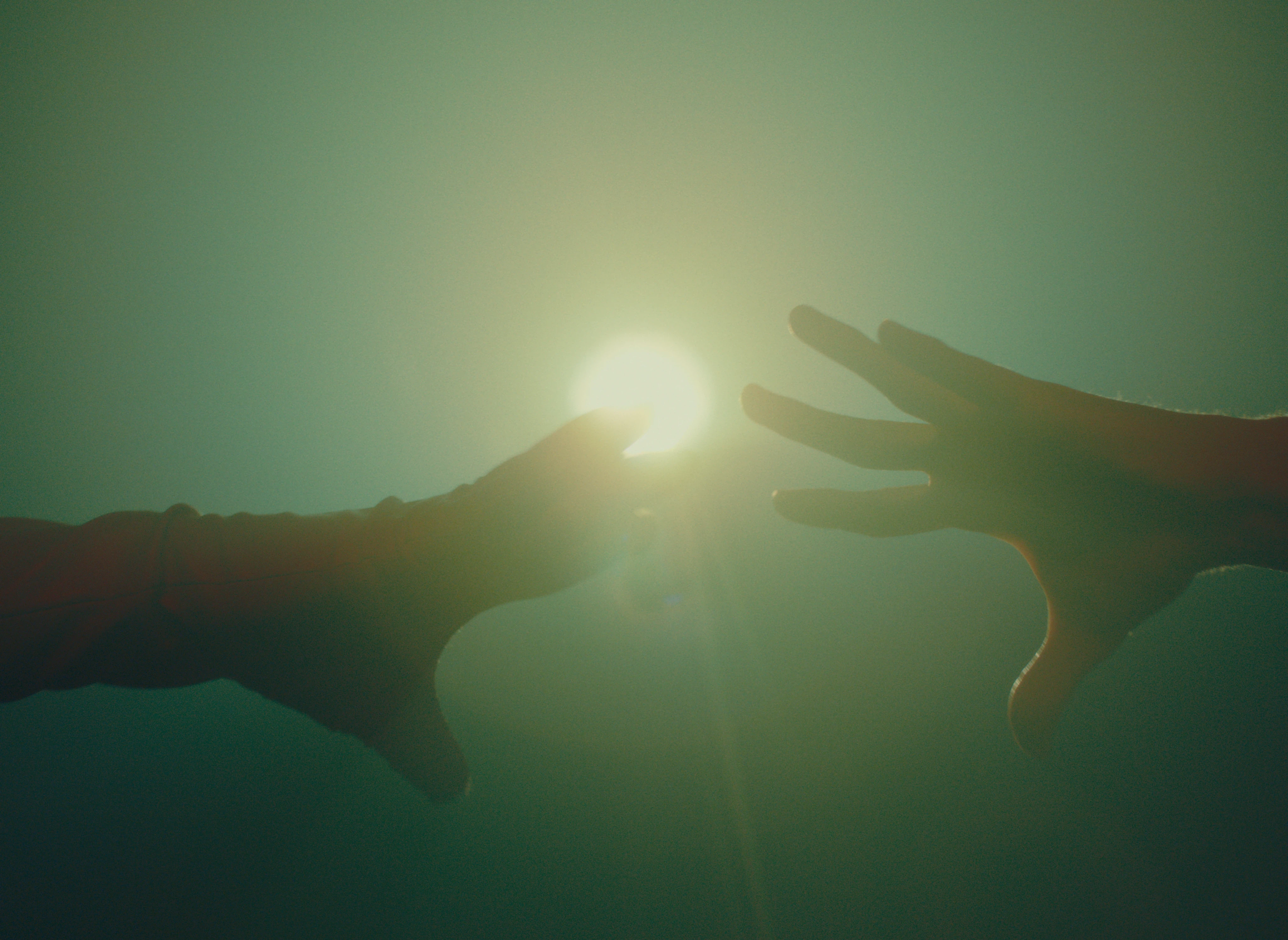 ANIMA still 16
