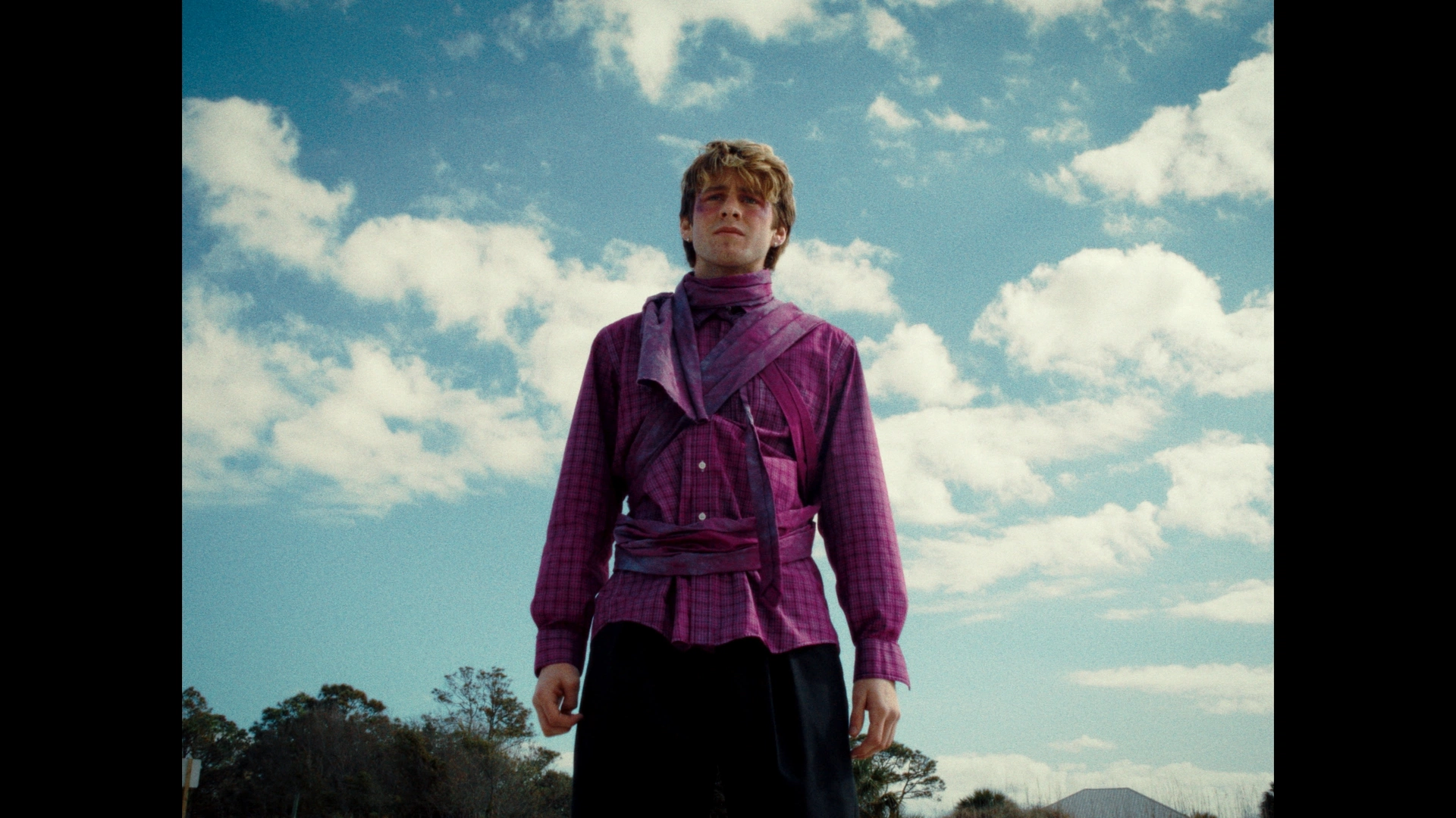 Purple still 1